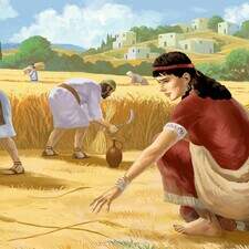 Ruth gleaning - 8th Grade American History (BJU Press)