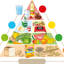  Food Pyramid