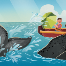 Are Whales and Dolphins Smarter Than Humans? Published by Hungry Tomato