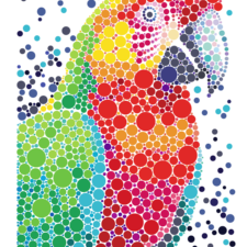 Sticker Dots: Wild Animals