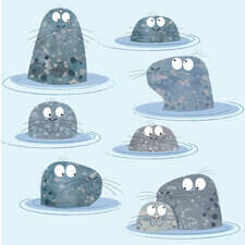 seals