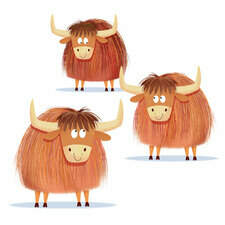 yaks