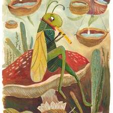 Collector's Serenade