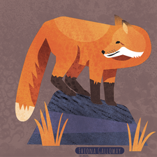 Fox