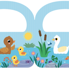 Pond spread for Activity book