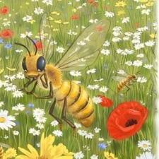 Illustration Tome 02 "La vie secrète des animaux" Editions 3 petits points France 2023