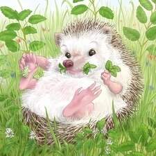 Illustration Tome 08 "La vie secrète des animaux" Editions 3 petits points France 2024