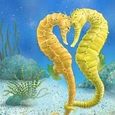 Illustration Tome 05 "La vie secrète des animaux" Editions 3 petits points France 2024