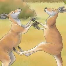 Illustration Tome 05 "La vie secrète des animaux" Editions 3 petits points France 2023