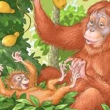 Illustration Tome 01 "La vie secrète des animaux" Editions 3 petits points France 2023