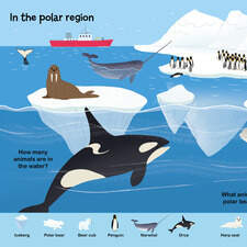 In the polar region. A spread from In The Ocean, a Little Word Seeker book published by Hungry Tomato 2025.