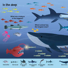 In the deep. A spread from In The Ocean, a Little Word Seeker book published by Hungry Tomato 2025.