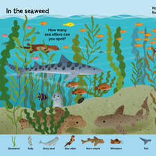 In the seaweed. A spread from In The Ocean, a Little Word Seeker book published by Hungry Tomato 2025.