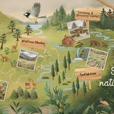 Illustrated educational map of Sequoia National Park designed for a children´s book spread. 