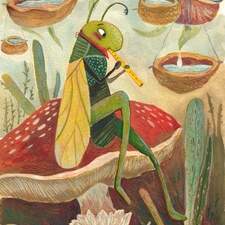 "Collector's Serenade"