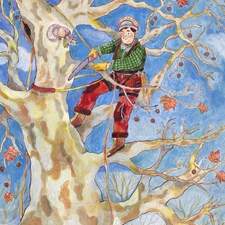 The Arborist and the Squirrel