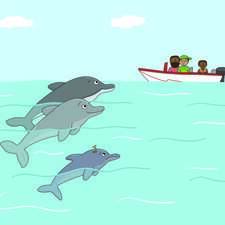 Dolphins in the sea - CUP work