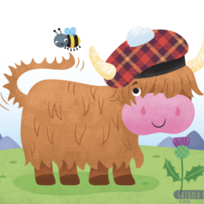 highland cow