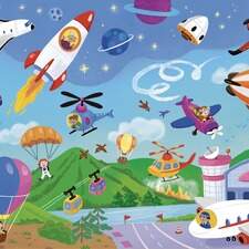 Flying Vehicles: Find and Spot